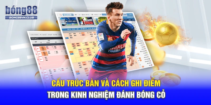 Cấu trúc bàn và cách ghi điểm trong kinh nghiệm đánh bóng cỏ