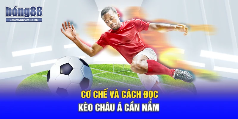 Cơ chế và cách đọc kèo châu á cần nắm